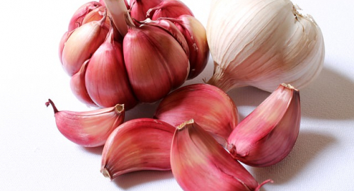 Proprietà e benefici dell'aglio